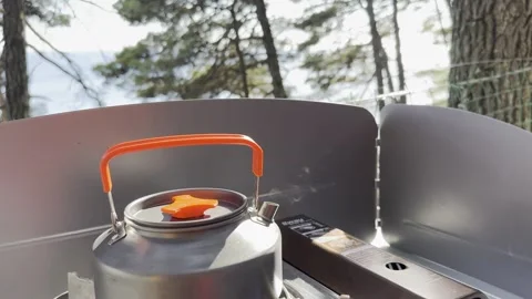 Camping at sea in a pine forest. Stock Footage 282084989