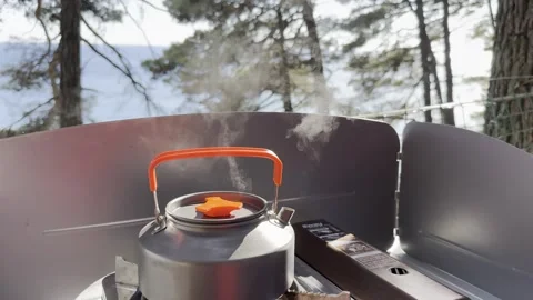 Camping at sea in a pine forest. Stock Footage 282085089