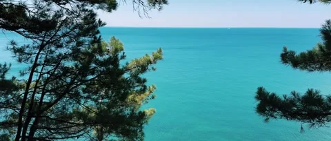 Camping at sea in a pine forest. Stock Footage 282085169