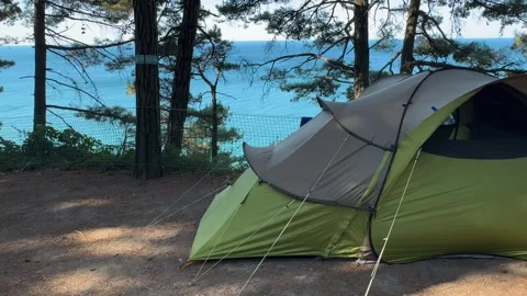 Camping at sea in a pine forest. Stock Footage 282085253