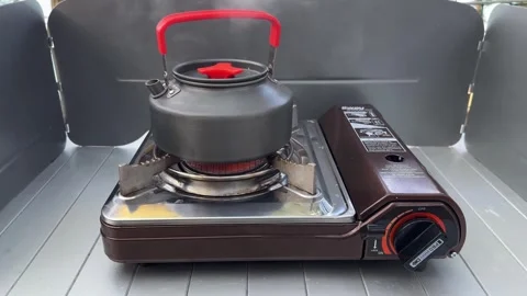 Camping at sea in a pine forest. Stock Footage 282360833