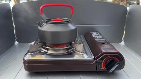 Camping on the seashore in the forest. Stock Footage 282084172