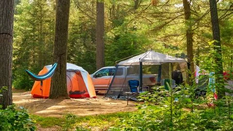 Camping setup in a forest with tents, a hammock, and a vehicle surrounded by Stock Photos