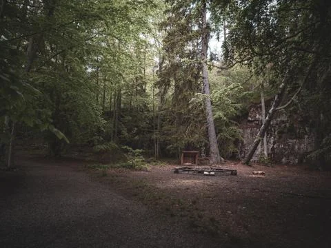 Camping site in a middle of the forest Stock Photos