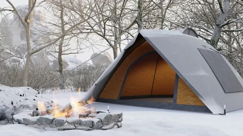 Camping in snow forest Stock Footage 223610805