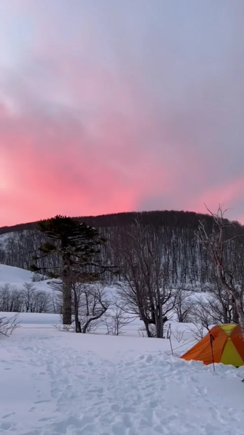 Camping in a snowy forest at sunset. Stock Footage 318981306