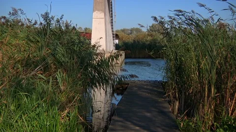 Camping Stream With Flows Under A High Bridge Stock Footage 106291865