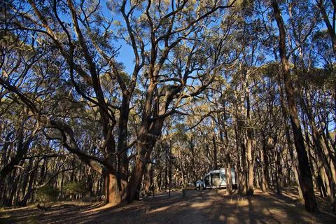 Camping on Stringybark Campsite in Deep Creek National Park, South Australia Stock Photos