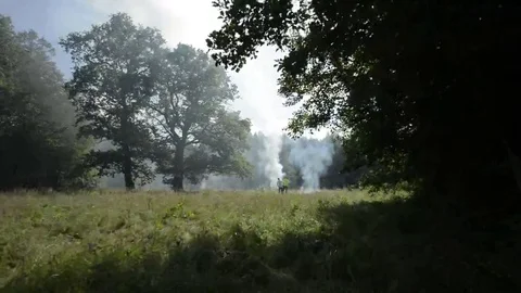 Camping in Summer Stock Footage 69119190