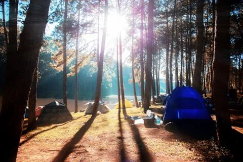 Camping with the sunrise at tree. Stock Photos