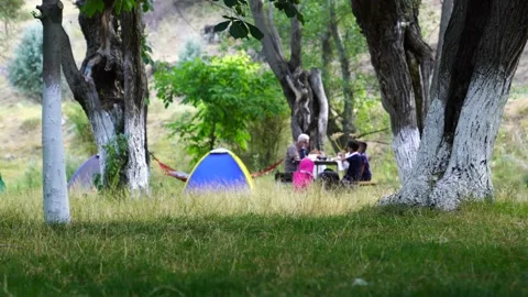 Camping tent and hammock set on green grass Video stock 137351982