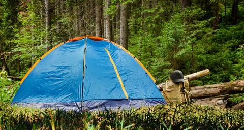 Camping tent in forest. Stock Photos