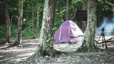Camping tent in the forest. Stock Photos