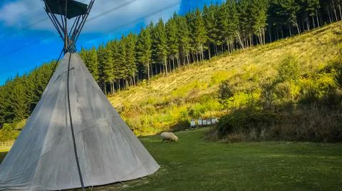 Camping Tent Foto stock