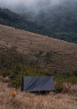 Camping tent 库存照片