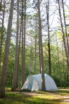 Camping Tent in Pine Tree Woods up North Stock Photos