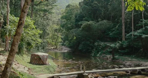 Camping tent by river stream in green tropical forest Vidéo 332322083