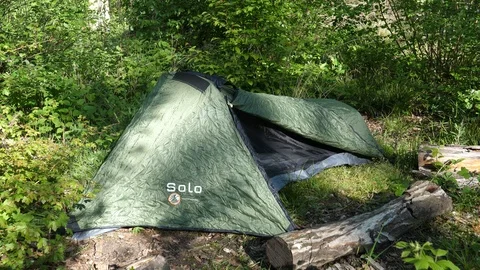 Camping Tent Setup in the Forest Video stock 112634609