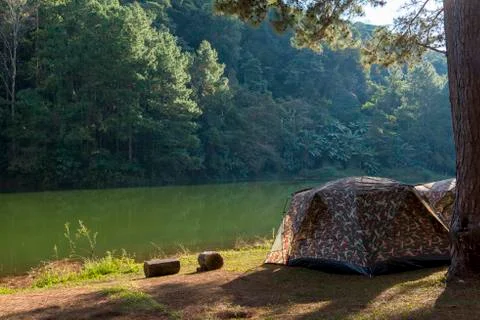 Camping tent under the pine forest in sunset at Pang-ung Stock Photos