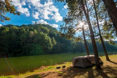 Camping tent under the pine forest near lake in sunset Stock Photos