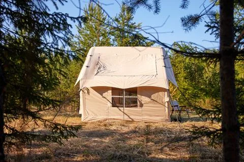 Camping tent under the pine forest. Inflatable tent Photos