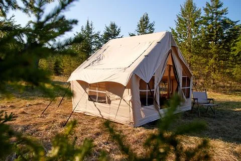 Camping tent under the pine forest. Inflatable tent Photos
