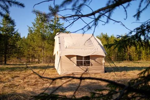 Camping tent under the pine forest. Inflatable tent Photos