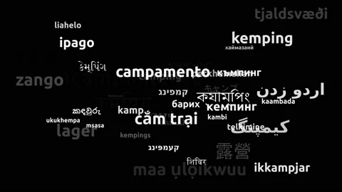 Camping Translated in 52 Worldwide Languages Endless Looping 3d Zooming Wordc Stock-Footage 145208749