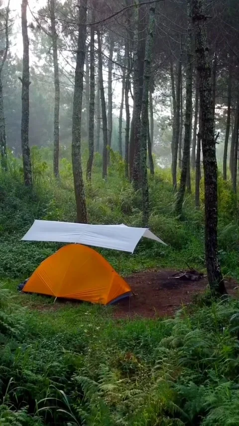 Camping view Video stock 203906873