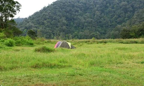 Camping with view of mountain Foto stock
