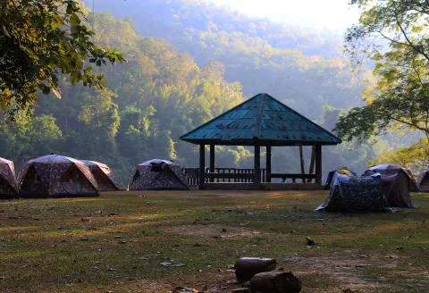 Camping in the woods by the river Stock Photos