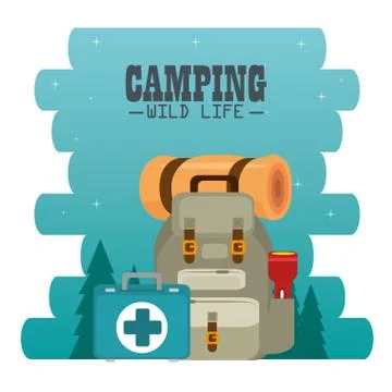 Camping zone with equipment Stock Illustration