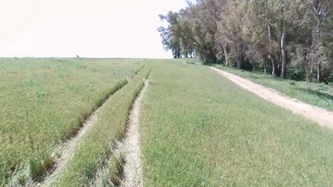 Campo Stock Footage 250447360