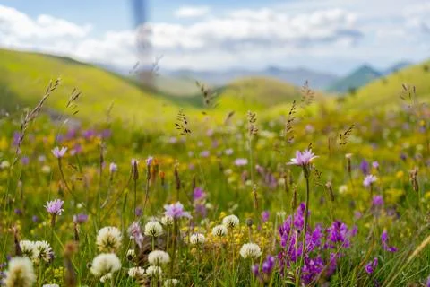 Campo Imperatore Stock Photos