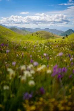Campo Imperatore Stock Photos