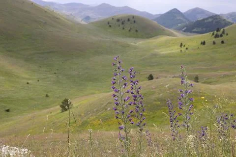 Campo Imperatore Stock Photos