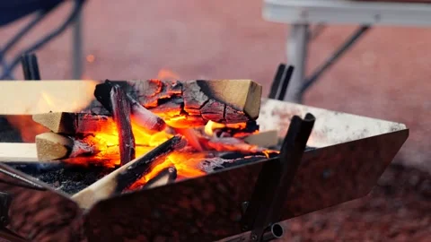 Campsite Bonfire  Video stock 161870546
