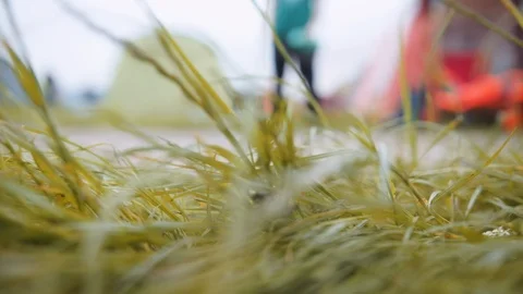 Campsite close up on grass Stockbeeldmateriaal 126987136