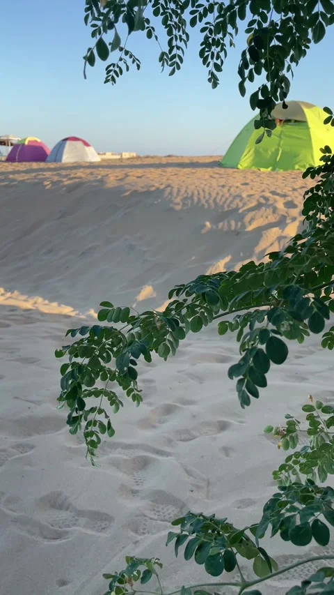 A Campsite in desert Stock Footage 280155627