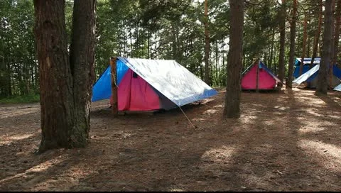 Campsite pan shot Vídeo Stock 10893416
