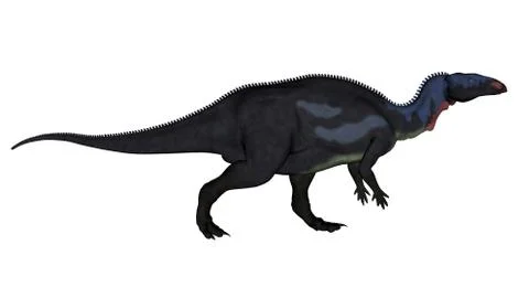 Camptosaurus dinosaur - 3D render Stock Illustration