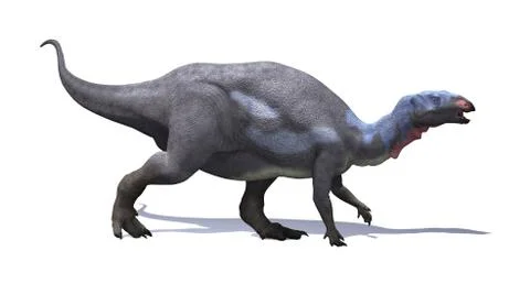Camptosaurus Dinosaur Stock Illustration