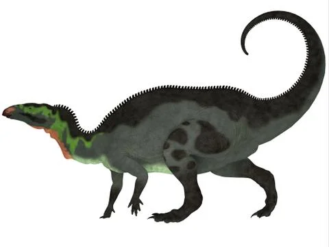 Camptosaurus profile Stock Illustration