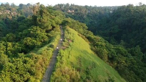Campuhan Ridge Walk 1 Stock Footage 126019521