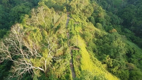 Campuhan Ridge Walk 2 Stock Footage 126019659