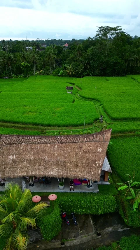 Campuhan14 Stock Footage 239709502