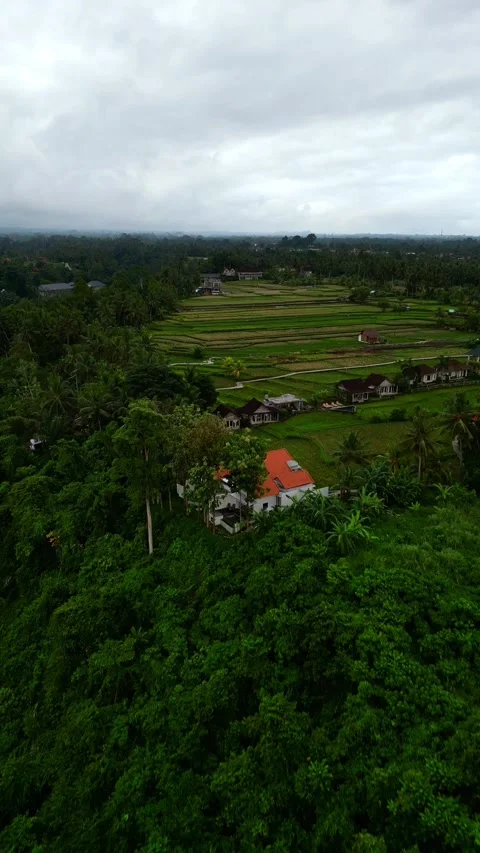 Campuhan16 Stock Footage 239709703