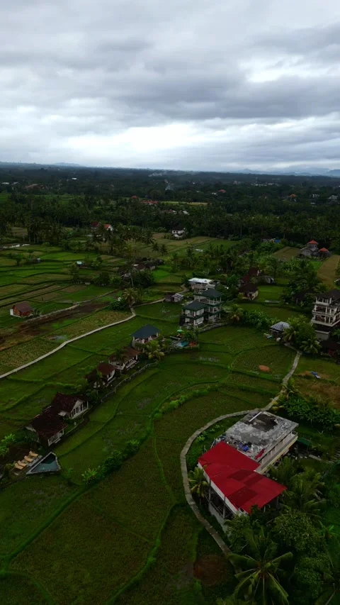 Campuhan17 스톡 동영상 239709792