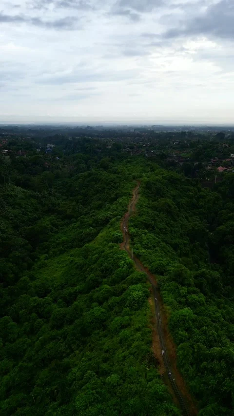 Campuhan19 Stock Footage 239709810