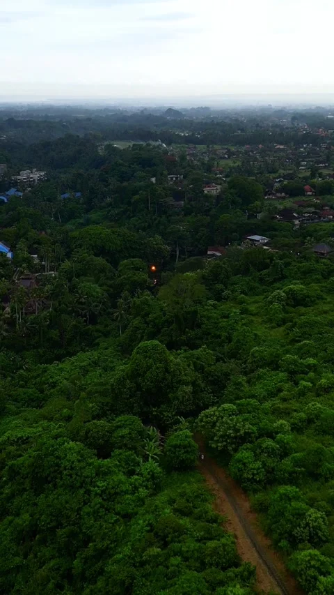 Campuhan21 스톡 동영상 239708270